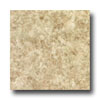 Congoleum Congoleum Xclusive - Rain Dance Mixed Tan Vinyl Flooring