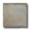 Mohawk Mohawk Riverstone 6 X 6 Boulder Tile  &  Stone