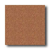 Mannington Mannington Biospec Cherrywood Vinyl Flooring
