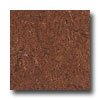 Armstrong Armstrong Marmorette With Naturcote Oak Brown Vinyl Flooring