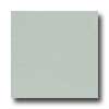 Marazzi Marazzi Le Cromie Matt Natural 12 X 12 Smeraldo Tile  &  Stone