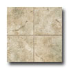 Tarkett Tarkett Preference Plus Nt - Bayhill 6 Sweet Basil Tan Vinyl Flo