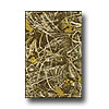 Milliken Milliken Realtree Collection 3 X 4 Max 4 Solid Camo Area Rugs
