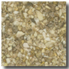 Fritztile Fritztile Classic Terrazo Cln600 3 / 16 Autumn Brown Tile  &  Stone
