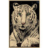 Home Dynamix Home Dynamix Zone 5 X 7 Black 7206 Area Rugs