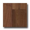 Zickgraf Zickgraf The Franklin Collection 5 Walnut Natural Hardwood Floor