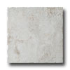 Monocibec Ceramica Monocibec Ceramica Graal 13 X 13 Bors Tile  &  Stone