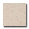 Armstrong Armstrong Excelon Companion Square Premium Multi Ecru Vinyl Floo