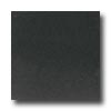 Daltile Daltile Granite 12 X 12 Absolute Black Tile  &  Stone