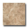 Tarkett Tarkett Preference Plus Nt - Bayhill 6 Gingerbread Brown Vinyl F