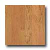 Harris-Tarkett Harris-tarkett Artisan Profiles American Cherry Natural Hardwood