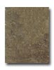 Mohawk Mohawk Egyptian Stone 10 X 13 Cairo Brown Tile  &  Stone