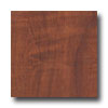 Nafco Nafco Latitudes Santos Mahogany Vinyl Flooring