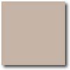 Daltile Daltile Natural Hues 8 X 8 Beige Pinpoint Tile  &  Stone