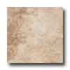 Marazzi Marazzi Forest Impressions 12 X 12 Beige Tile  &  Stone
