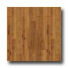 Mannington Mannington Coordinations Collection Honey Newport Hickory Lamina