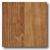 Congoleum Congoleum Forum Plank - Brentwood Chestnut Vinyl Flooring