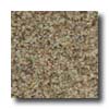 Milliken Milliken Tesserae Spectrum Earth Carpet Tiles
