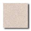 Mannington Mannington Biospec Toasted Sesame Vinyl Flooring