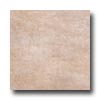 Castelvetro Castelvetro Quartz 20 X 20 Sandstone Tile  &  Stone