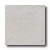 Tesoro Tesoro Tropical 13 X 13 White Tile  &  Stone