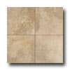 Daltile Daltile Aspen Lodge 18 X 18 Morning Breeze Tile  &  Stone