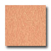 Armstrong Armstrong Excelon Imperial Texture Cantaloupe Vinyl Flooring