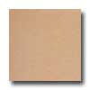 Italgres Italgres Vulcano 18 X 27 Marron Tile  &  Stone