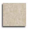 Alfa Ceramica Alfa Ceramica Roma 18 X 18 Avorio Tile  &  Stone