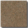 Fritztile Fritztile Rainbow Marble Rb2200 Spice Brown Tile  &  Stone