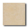 New World New World Chicago 8 X 10 Sand Tile  &  Stone