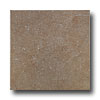 Laufen Laufen Tacoma 18 X 18 Nutmeg Tile  &  Stone