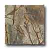 Daltile Daltile Marble Polished 12 X 12 Rainforest Green Tile  &  Stone
