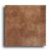 Daltile Daltile Veranda 6.5 X 20 Rectified Rust Tile  &  Stone