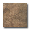 Tesoro Tesoro Salus 20 X 20 Rieti Noce Tile  &  Stone