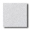 American Olean American Olean Terra Granite 12 X 12 Speckled Glacier Tile  &  Sto