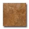 Emser Tile Emser Tile Tivolti 13 X 13 Terracotta Tile  &  Stone