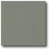 Daltile Daltile Porcealto (unpolished) 12 X 12 Verde (solid) Tile  &  Ston