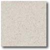 Daltile Daltile Porcealto (grid-non Slip) 8 X 8 Bianco Castiglia Tile  &