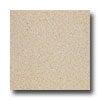 Armstrong Armstrong Medintech Tandem Inlaid Bouvardia Vinyl Flooring