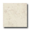 American Olean American Olean Carriage House 12 X 12 Canvas Tile  &  Stone