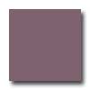 Daltile Daltile Design Porcelain Polished 12 X 12 Morganite Tile  &  Stone