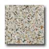 Santa Regina Santa Regina Architectural 16 X 16 (polished) Arctic Terrazzo Ti
