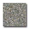 Santa Regina Santa Regina Architectural 24 X 24 (polished) Sterling Terrazzo