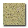 Santa Regina Santa Regina Accent 24 X 24 (polished) Peridot Terrazzo Tile