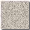 Armstrong Armstrong Safeguard Slip-retardant Granite Vinyl Flooring