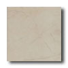 New World New World S Series 18 X 18 White Tile  &  Stone