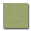 Mannington Mannington Solid Point Sour Apple Vinyl Flooring