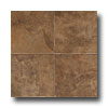 Esquire Tile Esquire Tile Cumberland Plateau 12 X 12 Walnut Tile  &  Stone