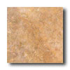 Ascot Ascot Nature 20 X 20 Red Tile  &  Stone